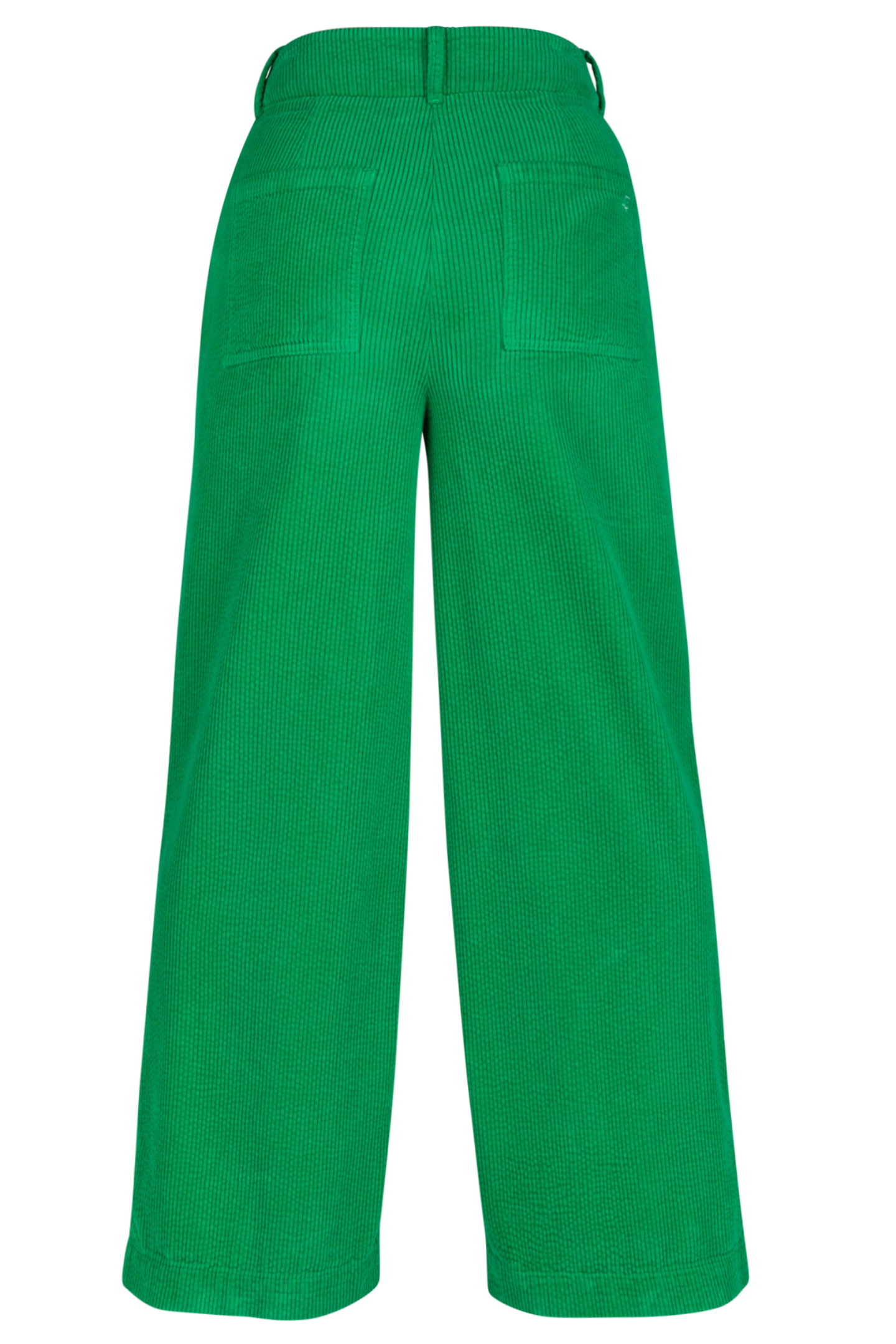 BROEK IN RIBVELOURS (9500)